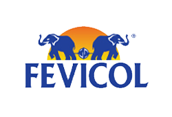 fevicol